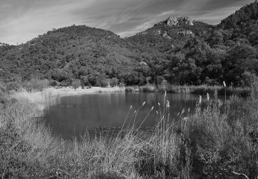 Trail Walking Saint-Raphaël - Pk Col de Belle Barbe - Croupe Baptiston et retour - Photo