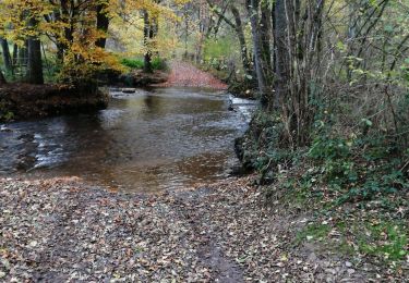 Tour Wandern Manhay - la promenade du jack - Photo