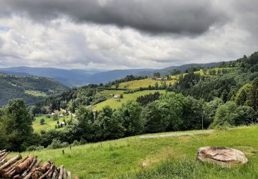 Tour Wandern Woll - la bresse-bassedesfeignes-2024-07-01 - Photo