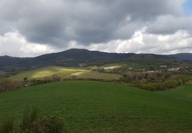 Randonnée Marche Octon - Château d'Octon - Photo