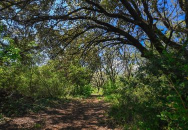 Trail Walking Montboucher-sur-Jabron - Montboucher-Bois de Lion 10km - Photo