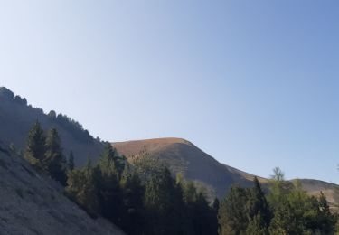 Randonnée Marche Selonnet - CHABANON Sommet de terre grosse  o n - Photo