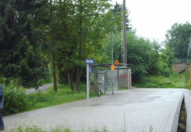 Tocht Te voet Rödinghausen - A1 Donoer Berg - Photo