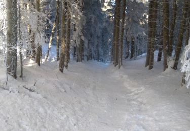 Randonnée Raquettes à neige Valserhône - col de Cuvery - Photo