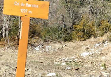 Trail Walking Saint-Auban - Baou Mouriou - Photo