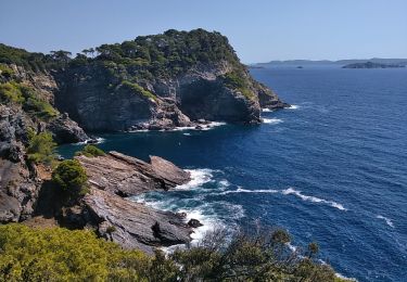 Tocht Stappen Hyères - presqu'île de Giens ouest 2 - Photo