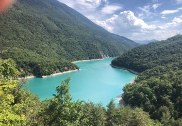 Randonnée Marche Avignonet - Avignonet descente au lac depuis le camping naturiste - Photo