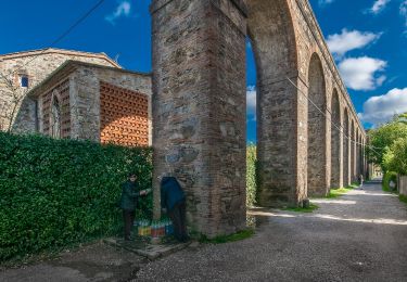 Percorso A piedi Pisa - Via degli Acquedotti - Photo