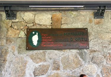 Randonnée Marche Albertacce - Castel du Vergio refuge de Mangani - Photo
