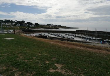 Excursión Senderismo Saint-Gildas-de-Rhuys - 56 boucle st Gildas port Maria à plage Govelins - Photo