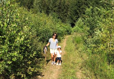 Excursión Senderismo Ferrières - Adeps Ferrières - Photo