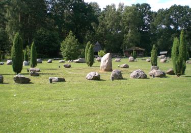 Percorso A piedi Schnega - Drawehn-Höhenweg - Photo