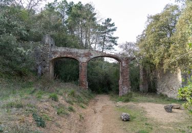 Percorso Marcia Roquebrune-sur-Argens - Roquebrune  - Photo