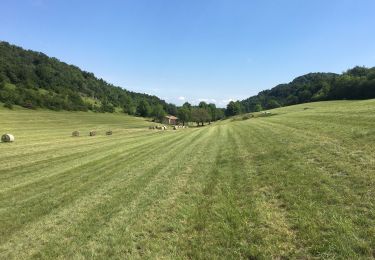 Trail Walking Hostun - Les Marchands au départ de St Martin d’Hostin - Photo