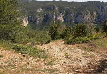 Tour Andere Aktivitäten Massegros Causses Gorges - circuit pour canyon Gorges du Tarn  les Paillasses - Photo