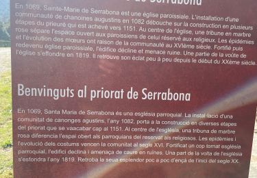 Excursión Senderismo Boule-d'Amont - Serra une - Photo
