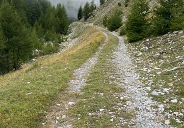 Tocht Stappen Uvernet-Fours - Le Cimet - Photo