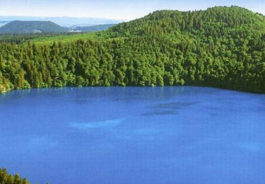 Percorso A piedi Besse-et-Saint-Anastaise - LAC PAVIN 3KM - Photo