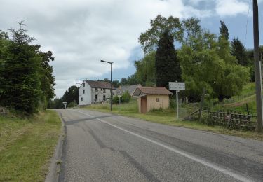 Trail On foot Zittersheim - Anneau jaune - Photo