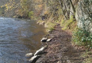 Tocht Stappen Bouillon - Laddertjeswandeling-Poupehan-Cretes de Frahan - Photo