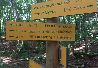 Trail Walking Brison-Saint-Innocent - Grotte des fées, Croix de Meyrieu, Mont Corsuet 843m 1.7.24 - Photo