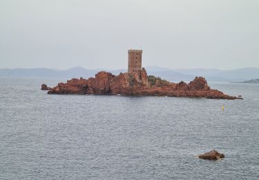 Randonnée Marche Saint-Raphaël - Dramont - Photo