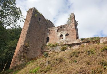 Percorso Marcia Oberbronn - Château de la Wasenbourg depuis Oberbronn - Photo