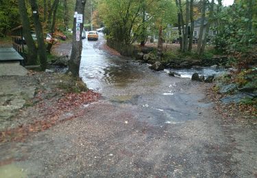 Tocht Stappen Jalhay - la hoegne - Photo