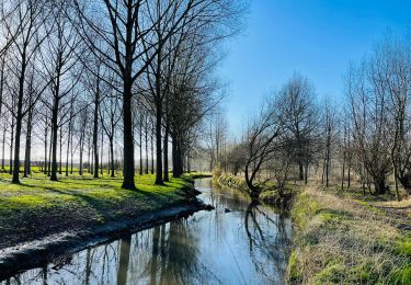 Trail Walking Crisnée - Le long de la rivière Geer à Lauw - Photo