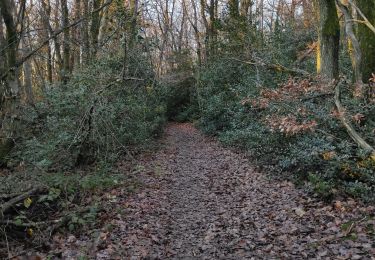 Trail Walking Communay - balade notre dame de linon  - Photo