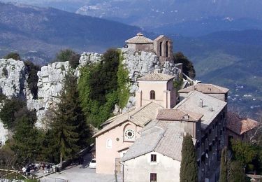 Randonnée A pied Capranica Prenestina - Sentiero CAI 504 Monte Cerella - Photo