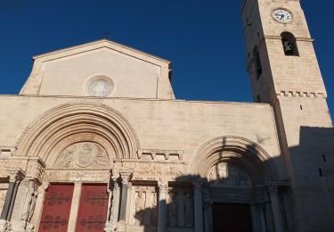 Excursión Senderismo Arles - 1) Arles à Saint-Gilles - Photo