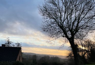 Tocht Stappen Olne - Olne croix magua - Photo