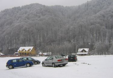Excursión A pie Sovata - Săcădat - Valea Gurghiului - Photo