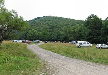 Percorso A piedi  - Câmpu Cetății - Valea Nirajul Mic - Vf. Saca Mare - Photo