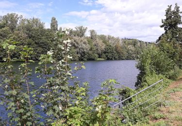 Randonnée Marche Namur - Jambes - Photo