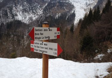 Randonnée A pied Recoaro Terme - Sentiero delle Mole - Photo