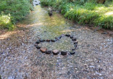 Tour Wandern Blen - Plaine La Chatte Pendue - Photo