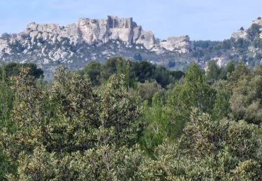 Randonnée Marche Les Baux-de-Provence - PF-Les Baux de Provence - Le Vallon des Amants par la piste des Lombards - DD - Photo