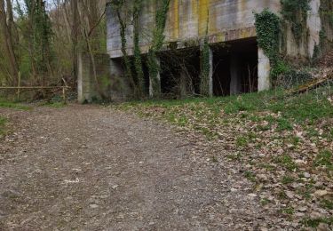 Tocht Stappen Gueberschwihr - Schauenberg - Photo