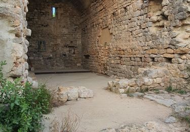 Excursión Senderismo l'Escala - Santa Maria del Palau - Photo