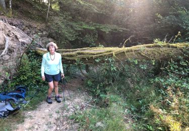 Tour Wandern Uzerche - Étape 1 août 2024 - Photo