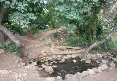 Tour Zu Fuß Regionalverwaltung Mateh Jehuda - עין מטע - שייח אחמד - Photo