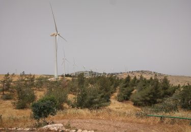 Excursión A pie מועצה אזורית עמק המעיינות - IL-3535 - Photo