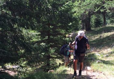 Tocht Stappen Saint-Martin-Vésubie - Gîte du Boreon  - Photo