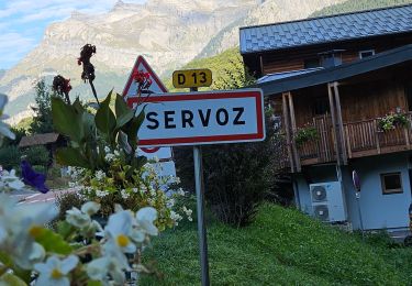 Randonnée Marche Les Houches - J21 - R20 - La Fontaine - La Tour St Michel - Photo