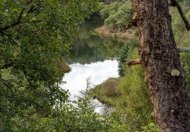 Tour Wandern Saint-Paul-en-Forêt - meaulx gilles - Photo