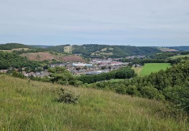 Tour Wandern Chaudfontaine - Chaudfontaine reconnaissance  - Photo