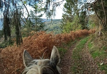 Trail Horseback riding Haut-du-Them-Château-Lambert - camping pat ballon servance  - Photo