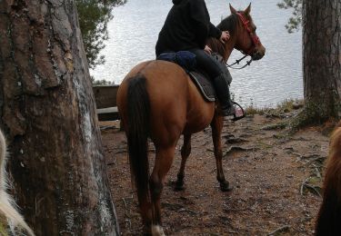 Trail Horseback riding Badonviller - badonviller avec les filles  - Photo